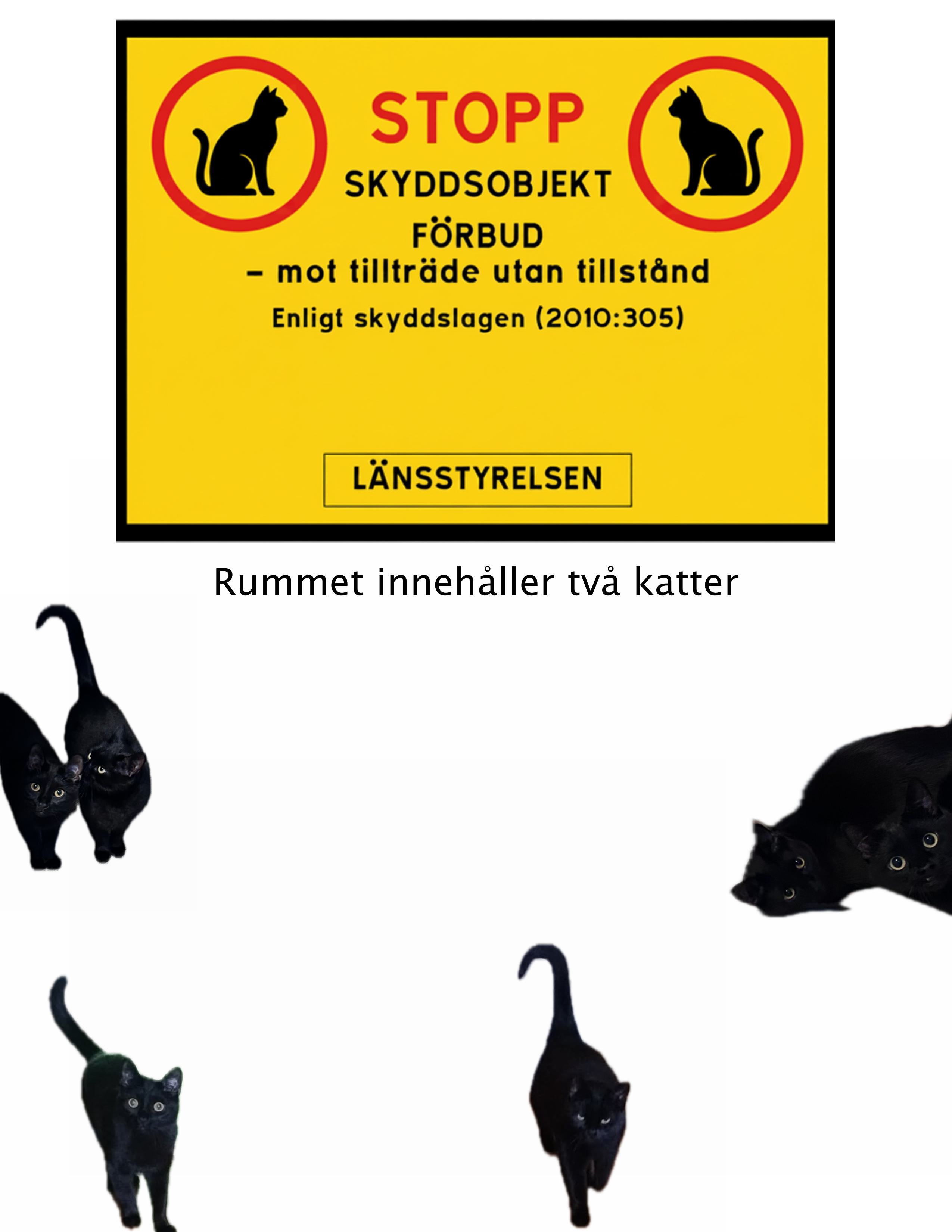 The 2 Black Cats